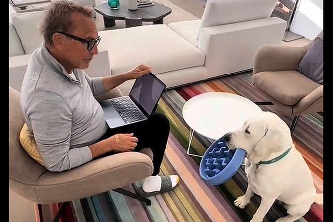 Labrador Bob pas Kevina Kostnera