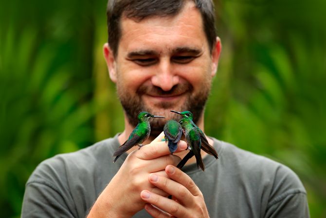 Kolibri kao ljubimac