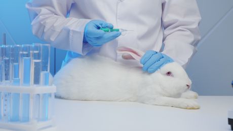 Laboratorijske životinje