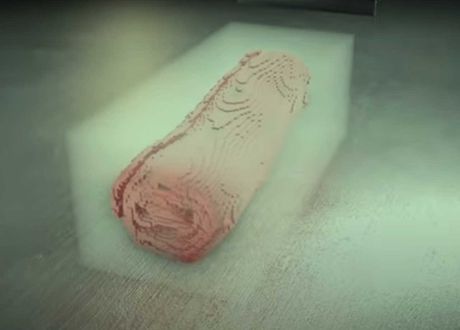 herkulanumski svitak