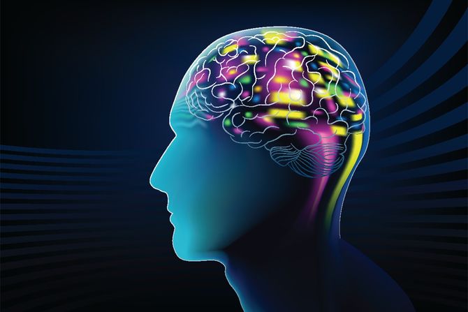 Mozak električna aktivnost