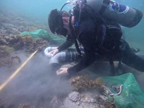 Olupine dva danska broda