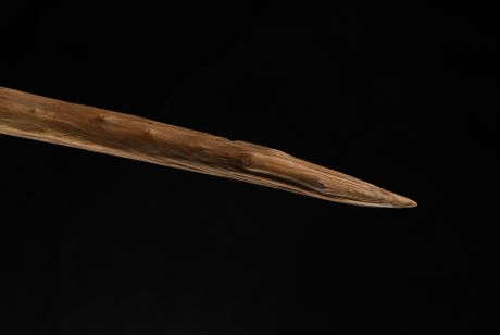 Koplje iz Šeningena