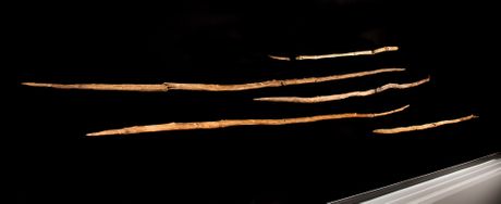 Koplja iz Šeningena