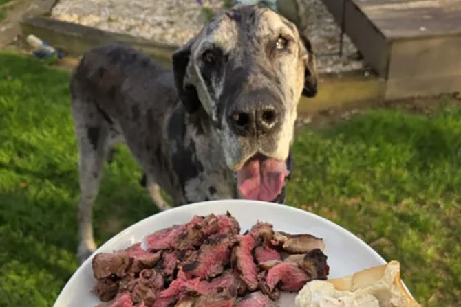 Iris poslednji obrok