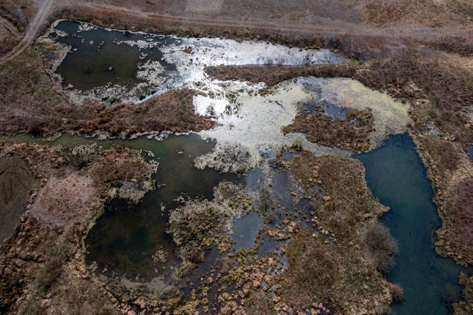 Mesel, Nemačka, fosil