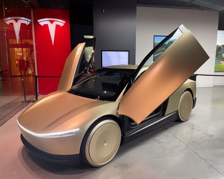 Tesla robotaxi