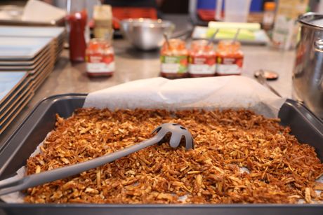 Plant Based master class