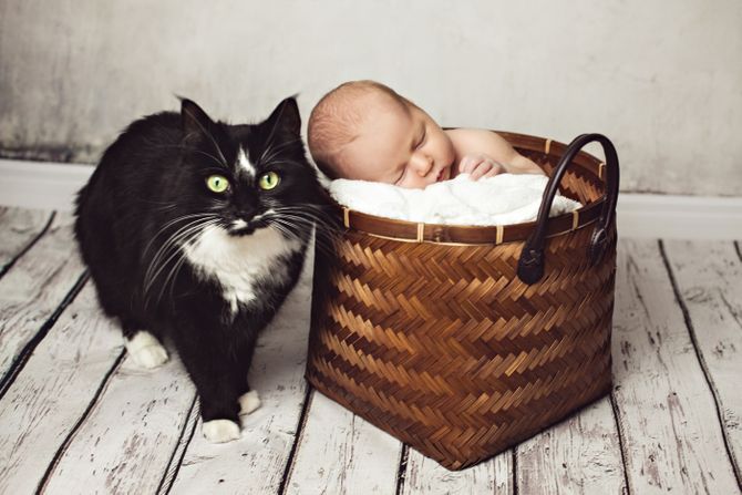 Mačka i beba