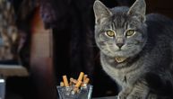 Vašem ljubimcu može da presudi samo jedna cigareta: Evo šta morate momentalno da proverite