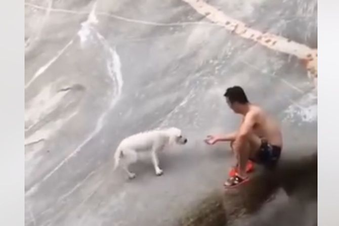 Čovek spasava psa na klizavoj steni