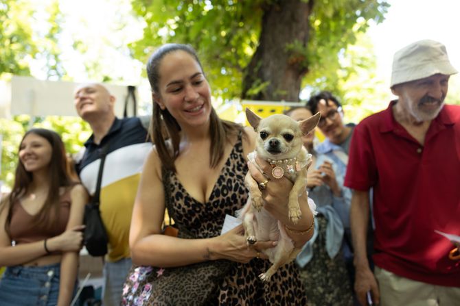 Festival "Ulični psi" Beograd 2025.
