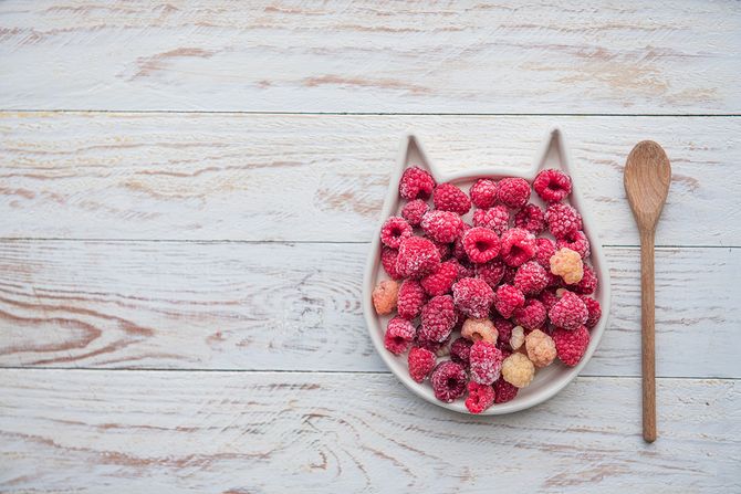 Hladne mačije poslastice