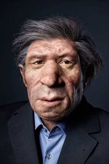 Neandertalci u sadašnjosti