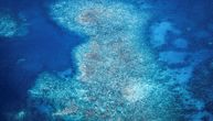 Ovo je najgori gubitak za 4 decenije: Zastrašujući izveštaj o Velikom koralnom grebenu
