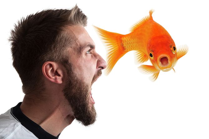 Čovek i zlatna ribica