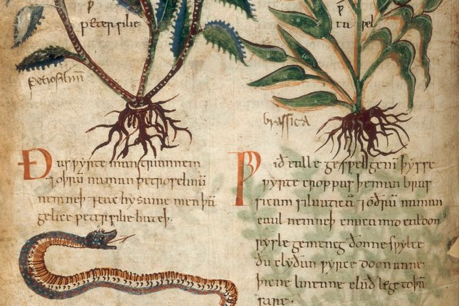 Srednjovekovni rukopis