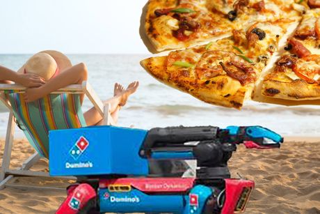 Pas robot, Boston Dynamics robot