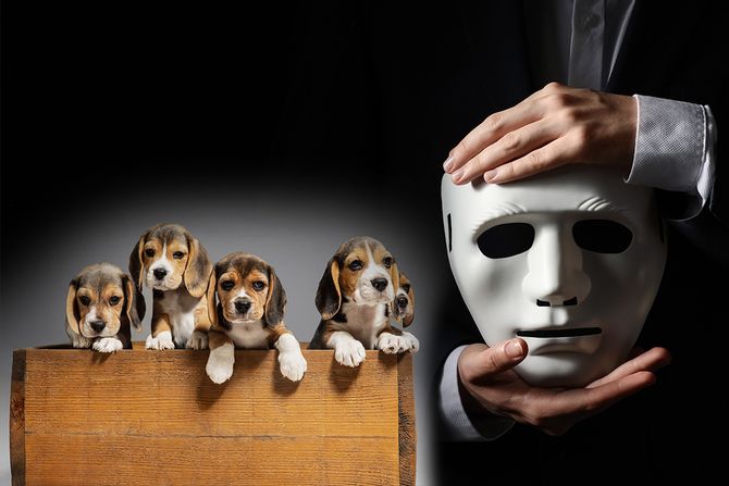 Maskirani čuvari pasa