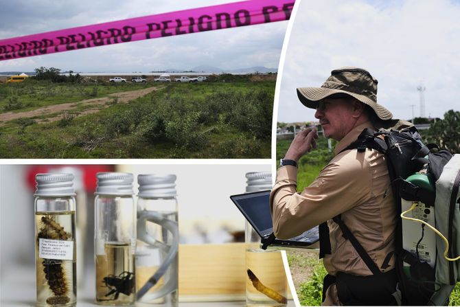 Meksiko, potraga za nestalima