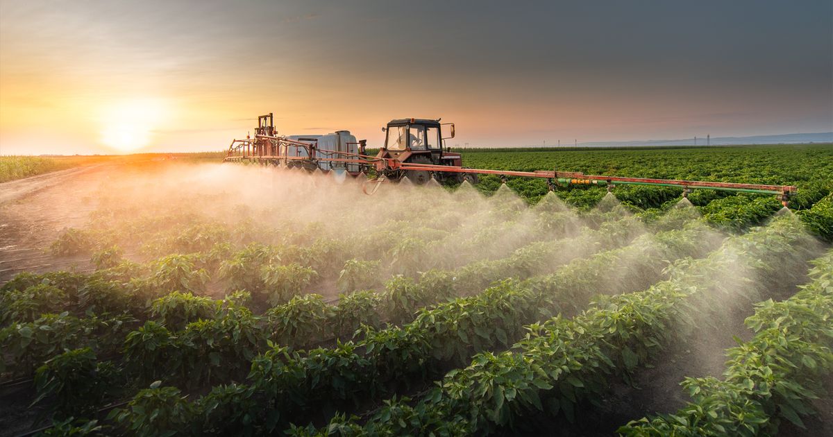 Pesticidi i rak: Studija otkriva biološke mehanizme u osnovi zdravstvenog rizika iz životne sredine
