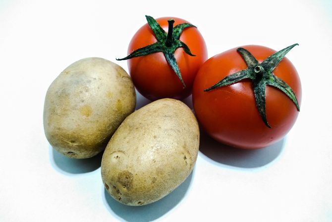 Krompir i paradajz