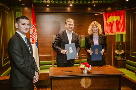 Ministarstvo kulture i Arheološki institut