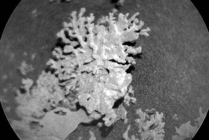 Mars, formacija, rover