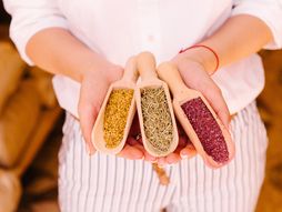 piskavica, piskavica čaj, piskavica biljka, biljka