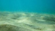Duboko ispod talasa Severnog mora, morsko dno se ponaša na neočekivan način