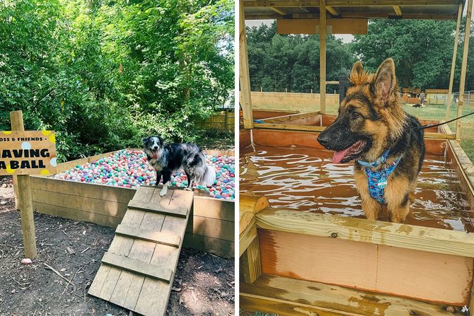 Park za pse u Britaniji