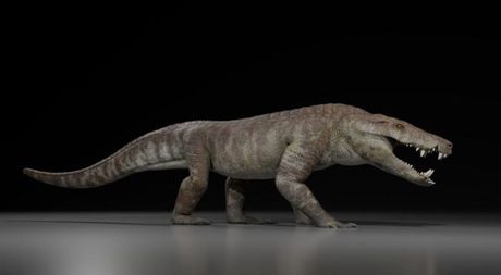 Kostensuchus atrox