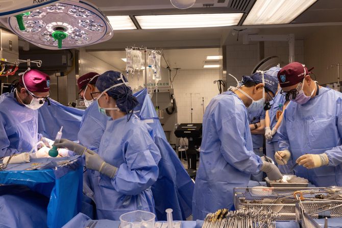 Ksenotransplantacija