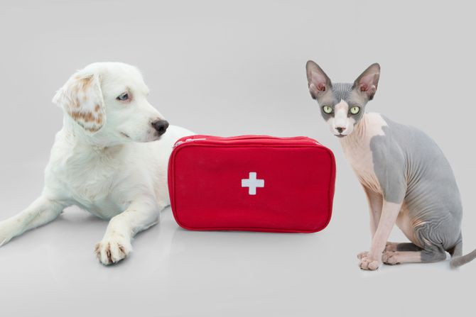 Ljubimci set prve pomoći