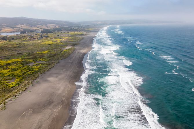 Prochlorococcus, Pacifik, Tihi okean