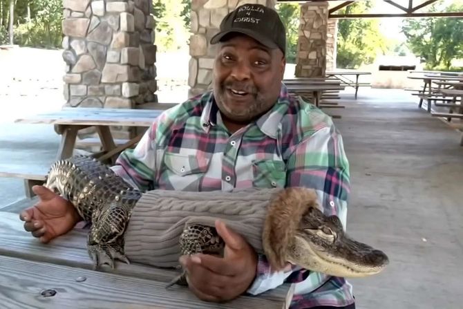 Wesley Silva,  aligator Jinseioshi