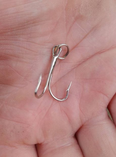 Katie Stevens, Pas Lola i udica