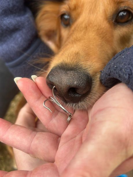 Katie Stevens, Pas Lola i udica