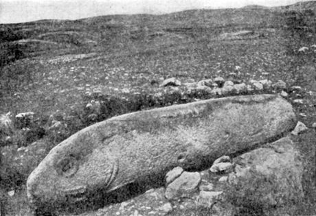 Višap ili zmajevo kamenje