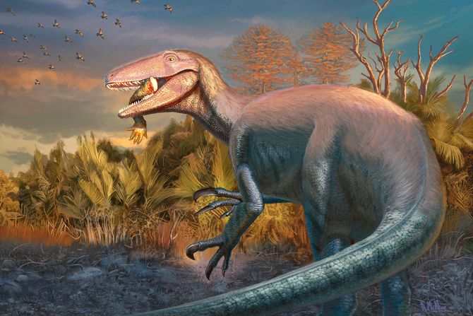 Dinosaurus Joaquinraptor casali