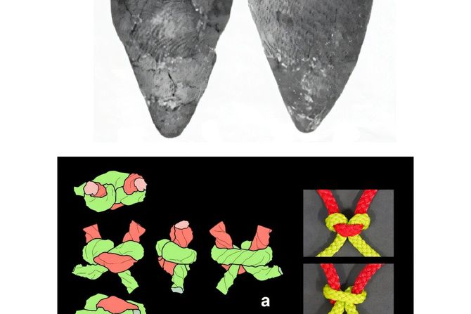 rekonstrukcija ribarskih mreža
