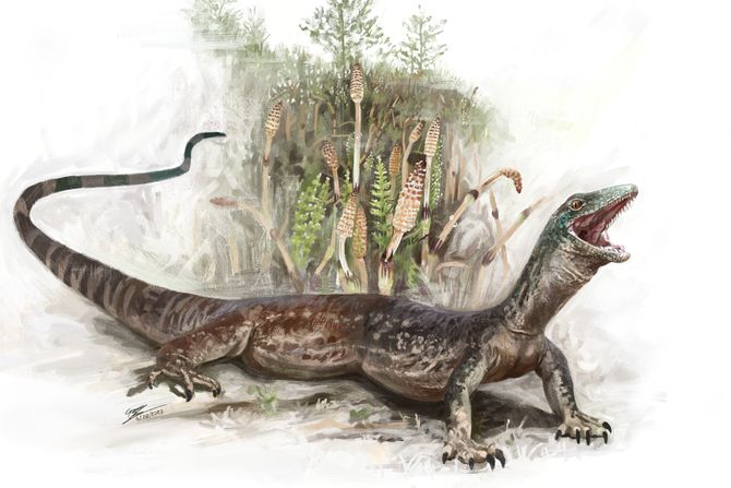 Breugnathair elgolensis