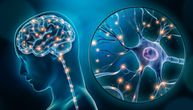 Mini-mozgovi otkrivaju jasne moždane signale šizofrenije i bipolarnog poremećaja