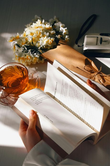 knjiga, čaj, šolja, maslačak, biljke