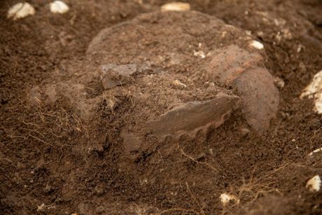 Arheološko otkriće, Crkvine