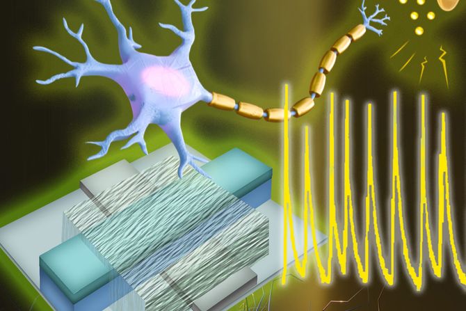 veštački neuron ili nervna ćelija