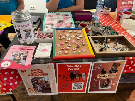 BeGeVege festival 2025