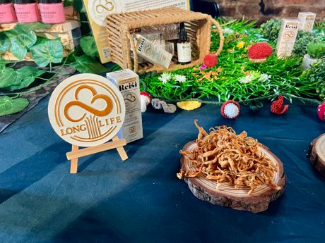 BeGeVege festival 2025