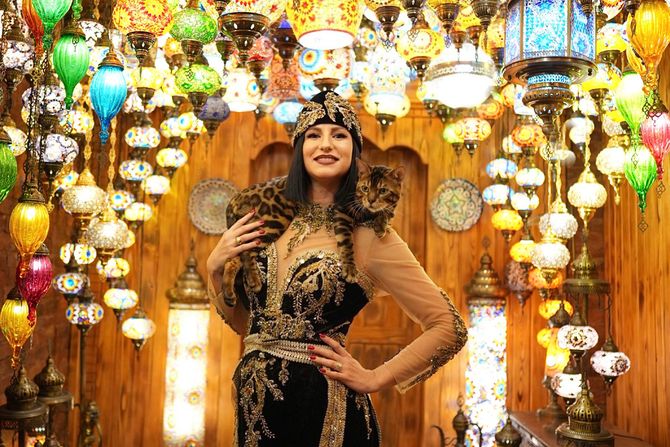 WCF International Jubille Cat Show Instanbul 2025