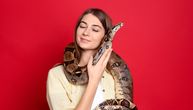 Kako zmija ili kornjača pokazuju da vas vole: Evo šta kažu veterinari o emotivnoj vezi sa gmizavcem
